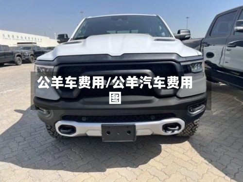 公羊车费用/公羊汽车费用图-第2张图片