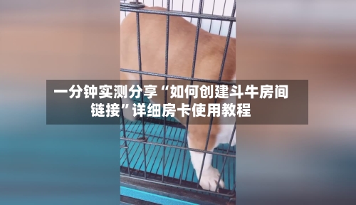 一分钟实测分享“如何创建斗牛房间链接”详细房卡使用教程-第2张图片