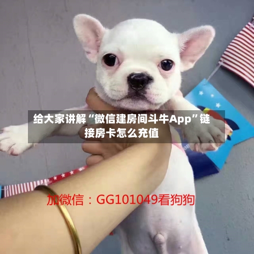 给大家讲解“微信建房间斗牛App”链接房卡怎么充值-第2张图片
