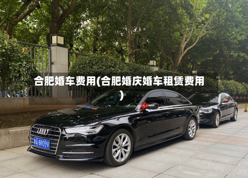 合肥婚车费用(合肥婚庆婚车租赁费用)