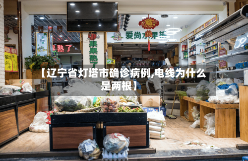 【辽宁省灯塔市确诊病例,电线为什么是两根】-第3张图片