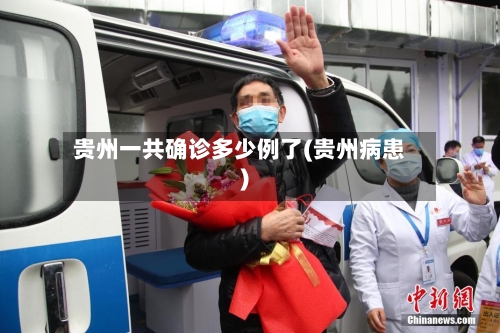 贵州一共确诊多少例了(贵州病患)-第2张图片