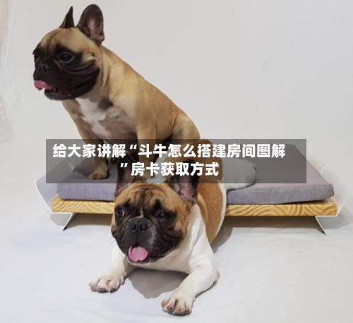 给大家讲解“斗牛怎么搭建房间图解”房卡获取方式
