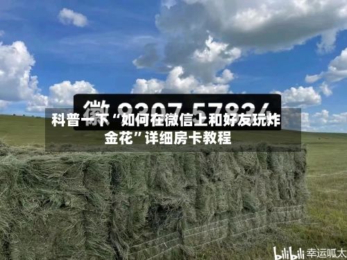科普一下“如何在微信上和好友玩炸 金花”详细房卡教程-第2张图片