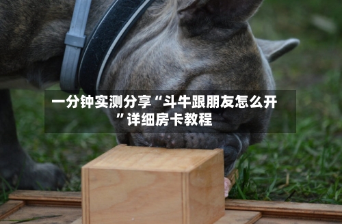 一分钟实测分享“斗牛跟朋友怎么开”详细房卡教程-第2张图片