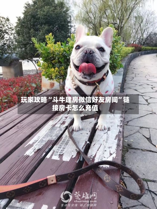 玩家攻略“斗牛建房微信好友房间”链接房卡怎么充值-第2张图片