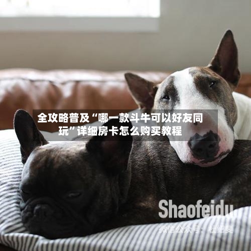 全攻略普及“哪一款斗牛可以好友同玩”详细房卡怎么购买教程-第2张图片