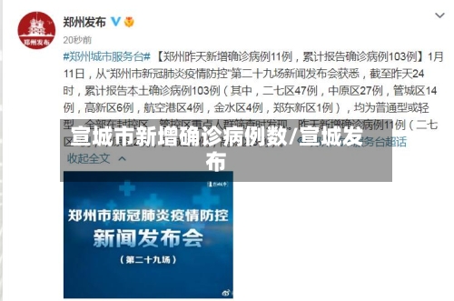 宣城市新增确诊病例数/宣城发布-第3张图片