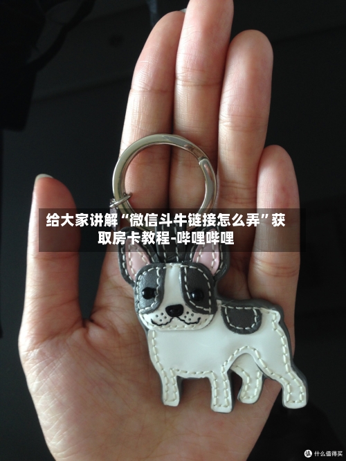 给大家讲解“微信斗牛链接怎么弄”获取房卡教程-哔哩哔哩