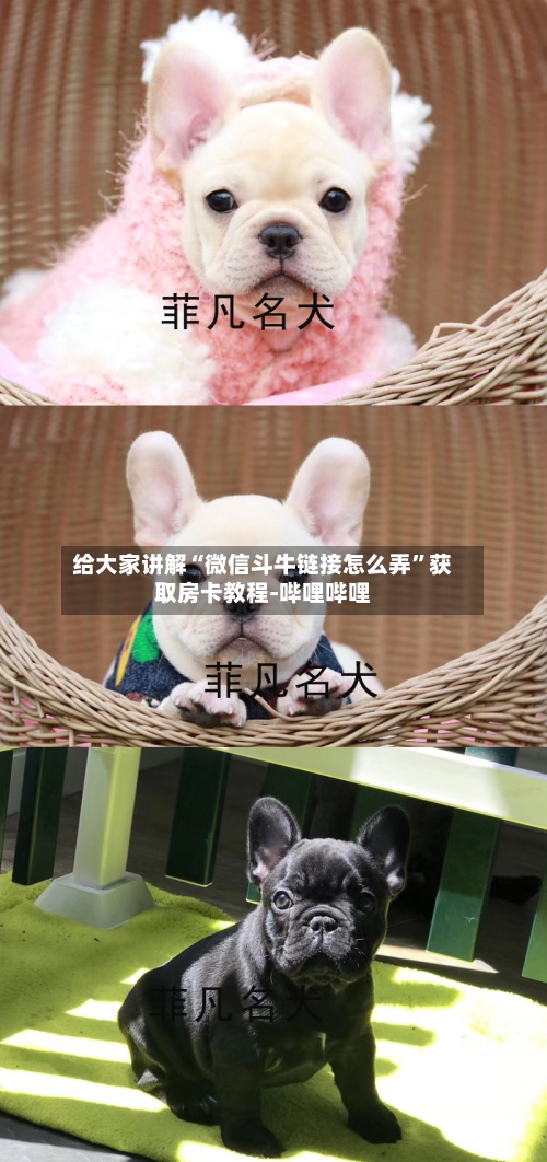 给大家讲解“微信斗牛链接怎么弄”获取房卡教程-哔哩哔哩-第2张图片