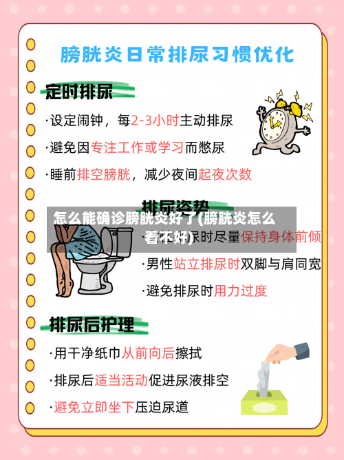 怎么能确诊膀胱炎好了(膀胱炎怎么看不好)-第2张图片