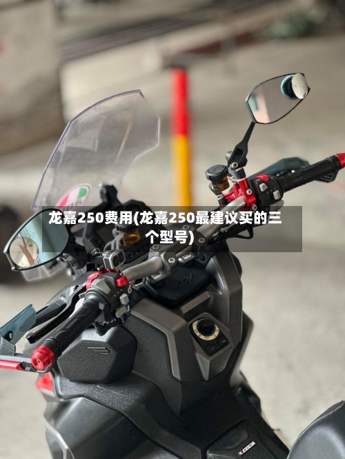 龙嘉250费用(龙嘉250最建议买的三个型号)