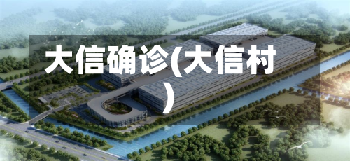 大信确诊(大信村)