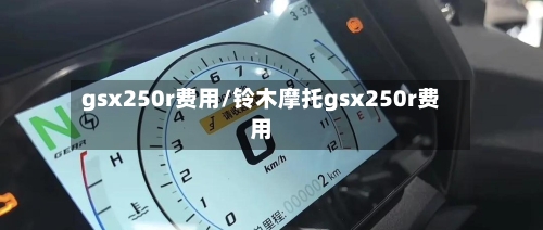 gsx250r费用/铃木摩托gsx250r费用-第2张图片