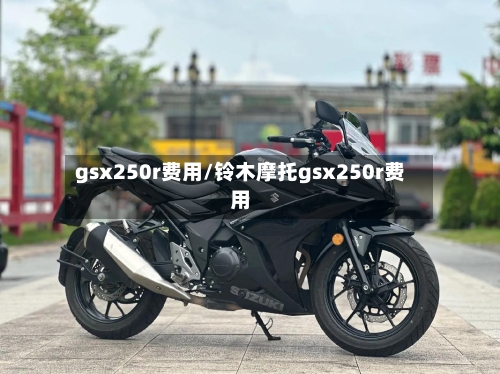 gsx250r费用/铃木摩托gsx250r费用-第3张图片