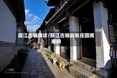 丽江古城确诊/丽江古城蚂蚁庄园闽南网