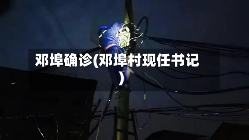 邓埠确诊(邓埠村现任书记)-第3张图片