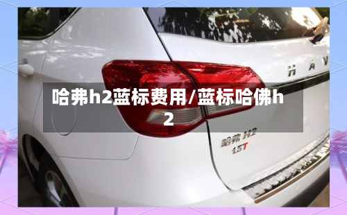 哈弗h2蓝标费用/蓝标哈佛h2