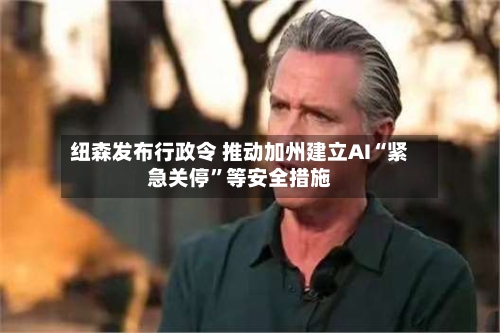 纽森发布行政令 推动加州建立AI“紧急关停”等安全措施-第3张图片