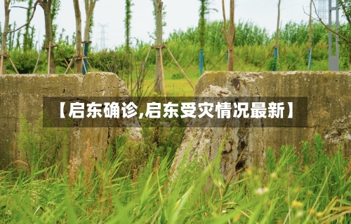 【启东确诊,启东受灾情况最新】