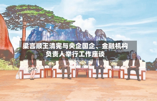 梁言顺王清宪与央企国企、金融机构负责人举行工作座谈-第2张图片