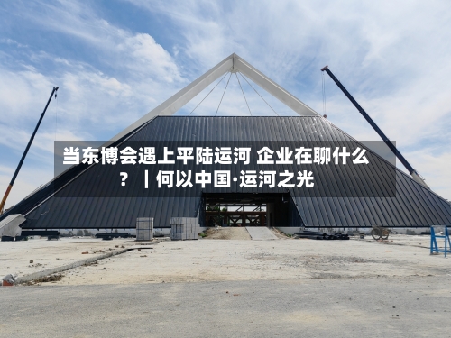 当东博会遇上平陆运河 企业在聊什么？｜何以中国·运河之光-第2张图片