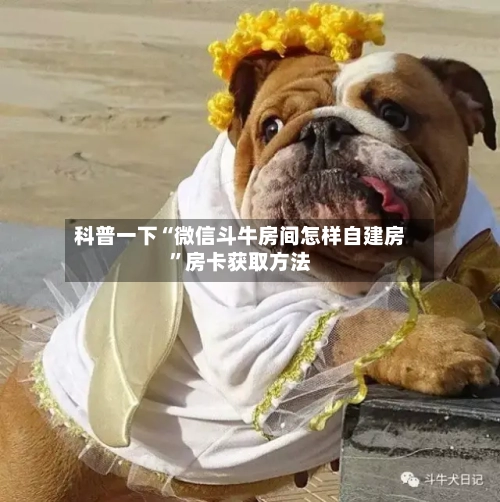 科普一下“微信斗牛房间怎样自建房	”房卡获取方法-第2张图片