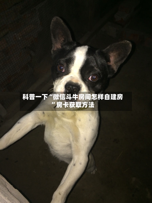 科普一下“微信斗牛房间怎样自建房”房卡获取方法