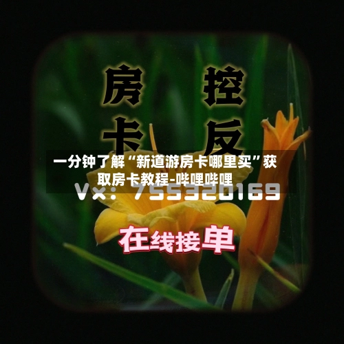 一分钟了解“新道游房卡哪里买”获取房卡教程-哔哩哔哩-第2张图片