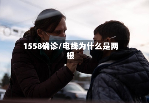 1558确诊/电线为什么是两根-第3张图片