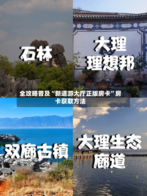 全攻略普及“新道游大厅正版房卡”房卡获取方法-第3张图片