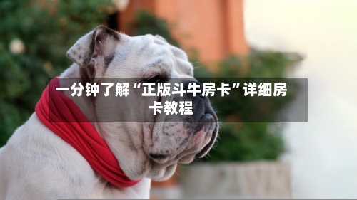 一分钟了解“正版斗牛房卡”详细房卡教程-第3张图片