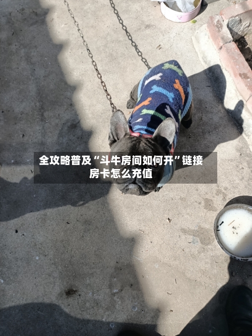 全攻略普及“斗牛房间如何开”链接房卡怎么充值-第3张图片