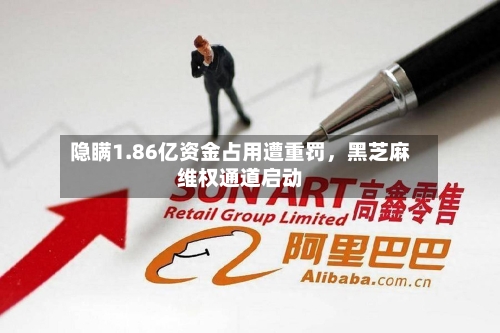 隐瞒1.86亿资金占用遭重罚，黑芝麻维权通道启动-第2张图片