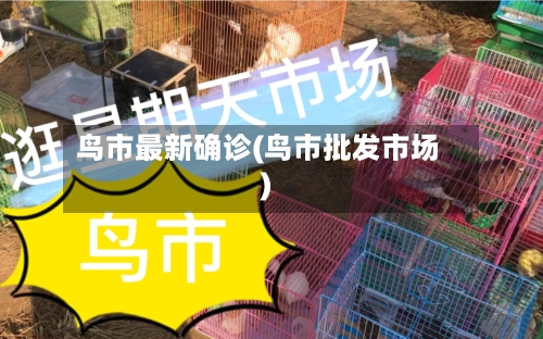 鸟市最新确诊(鸟市批发市场)-第3张图片