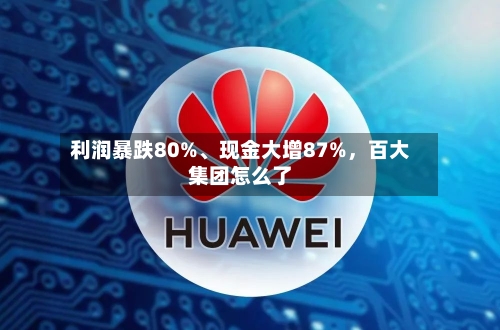 利润暴跌80%、现金大增87%，百大集团怎么了