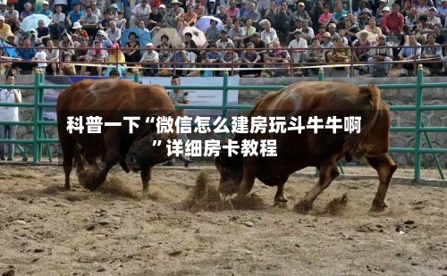 科普一下“微信怎么建房玩斗牛牛啊”详细房卡教程-第3张图片