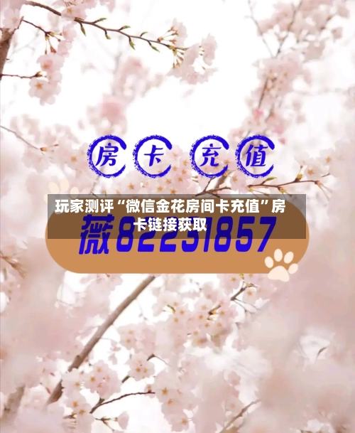 玩家测评“微信金花房间卡充值”房卡链接获取-第2张图片