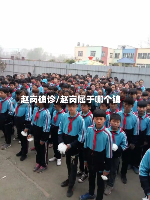 赵岗确诊/赵岗属于哪个镇-第3张图片