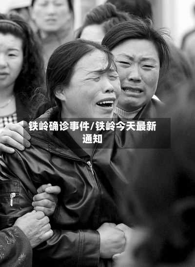 铁岭确诊事件/铁岭今天最新通知-第2张图片