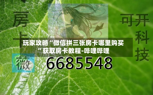 玩家攻略“微信拼三张房卡哪里购买”获取房卡教程-哔哩哔哩-第2张图片