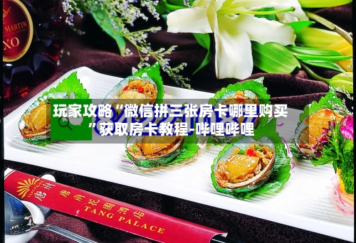玩家攻略“微信拼三张房卡哪里购买”获取房卡教程-哔哩哔哩-第3张图片