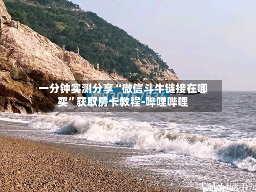 一分钟实测分享“微信斗牛链接在哪买”获取房卡教程-哔哩哔哩-第2张图片