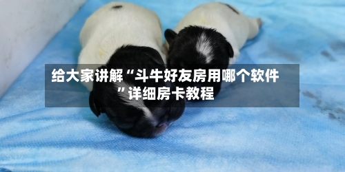 给大家讲解“斗牛好友房用哪个软件”详细房卡教程