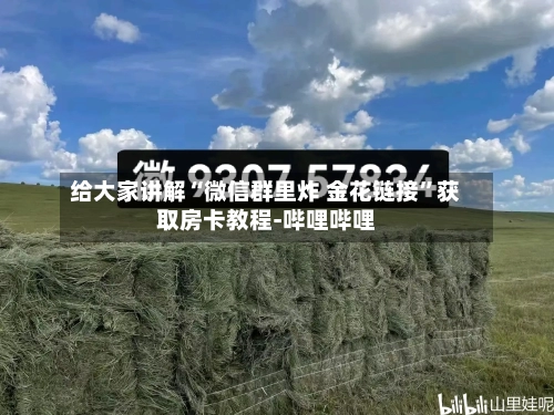 给大家讲解“微信群里炸 金花链接	”获取房卡教程-哔哩哔哩-第3张图片
