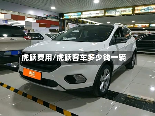 虎跃费用/虎跃客车多少钱一辆-第2张图片