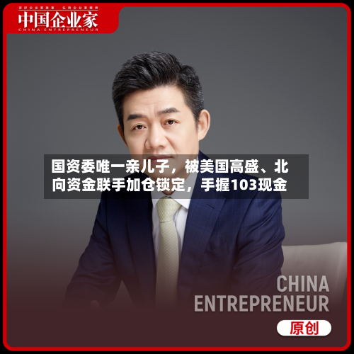 国资委唯一亲儿子，被美国高盛、北向资金联手加仓锁定，手握103现金-第2张图片