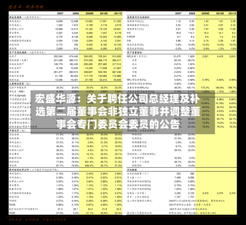宏盛华源：关于聘任公司总经理及补选第二届董事会非独立董事并调整董事会专门委员会委员的公告