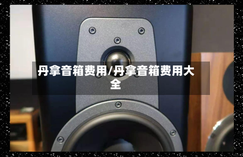 丹拿音箱费用/丹拿音箱费用大全