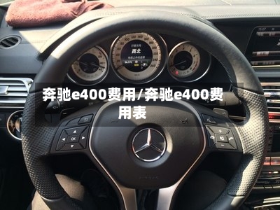 奔驰e400费用/奔驰e400费用表-第2张图片